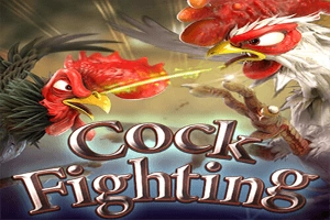 Cock Fighting