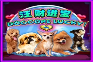 Doggone Lucky!