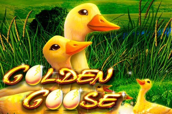 Golden Goose