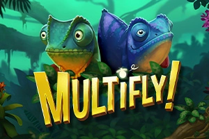 MultiFly!