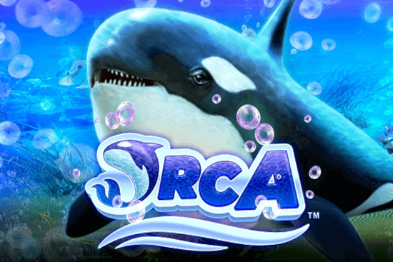 Orca