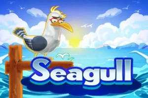 Seagull