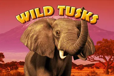 Wild Tusks