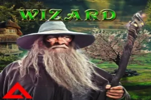 Wizard